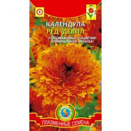 Календула Ред девил фото