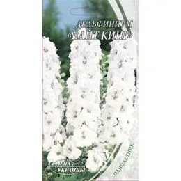Дельфиниум Вайт Кинг фото