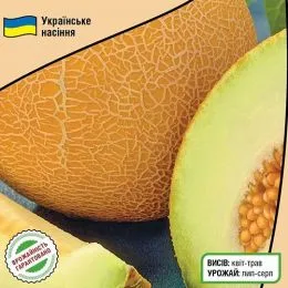 Дыня Ранняя 133 фото