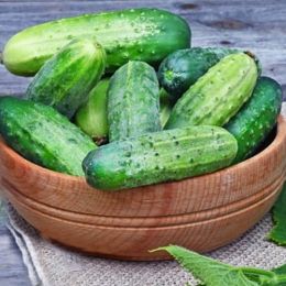 Огурец Весёлые мотыльки фото