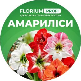 Удобрение для амариллисов (Florium Profi универсальное) 4м. 250г фото