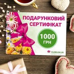 1000 грн - подарочный сертификат фото