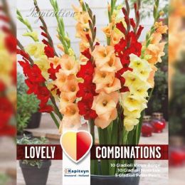 Гладиолус Red, Yellow and Orange (Брендовые луковицы KAPITEYN®) фото