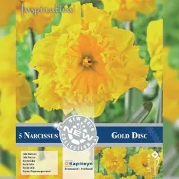 Нарцисс Gold Disc (Брендовые луковицы KAPITEYN®) фото