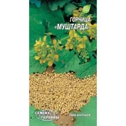 Горчица Муштарда фото