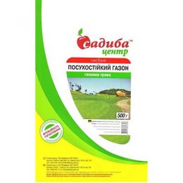 Газон Засухоустойчивый фото