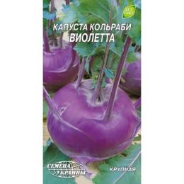 Капуста кольраби Виолетта фото