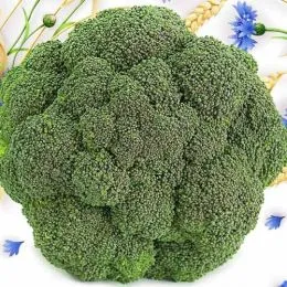 Капуста брокколи Солнцестояние фото