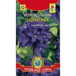 Колокольчик Галактика фото