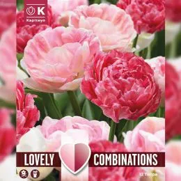 Комбо Тюльпаны Duopack Sweet Pink Mix фото