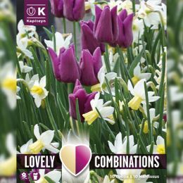 Комбо Тюльпаны Purple и Нарцисс White (Брендовые луковицы KAPITEYN®) фото