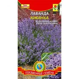 Лаванда Южанка фото