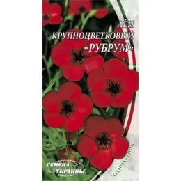 Лён крупноцветковый Рубрум фото