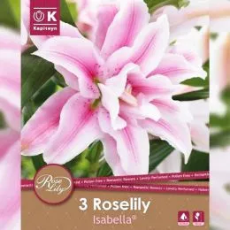 Лилия Roselily Isabella (Брендовые луковицы KAPITEYN®) фото