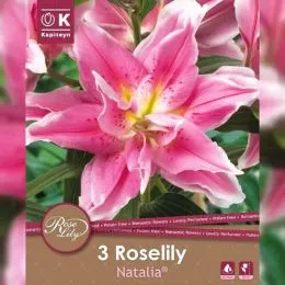 Лилия Roselily Natalia (Брендовые луковицы KAPITEYN®) фото