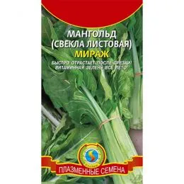 Мангольд Мираж фото