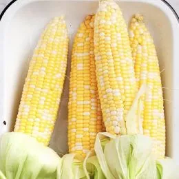 Кукуруза Маричка фото