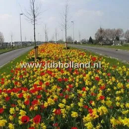 Микс ландшафтный Arnhem фото