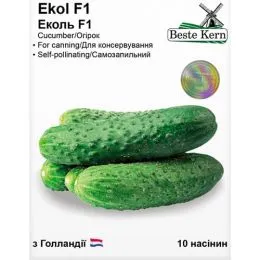 Огурец Эколь F1, ТМ Beste Kern фото