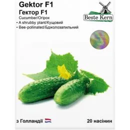 Огурец Гектор F1, ТМ Beste Kern фото
