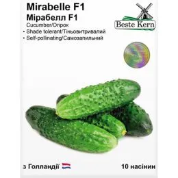 Огурец Мирабелл F1, ТМ Beste Kern фото
