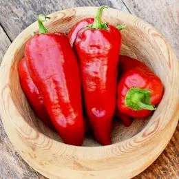 Перец сладкий Иволга фото