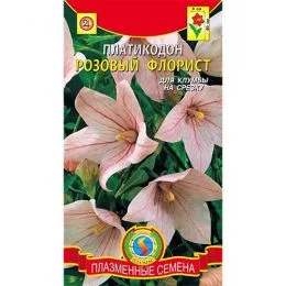Платикодон Розовый флорист фото