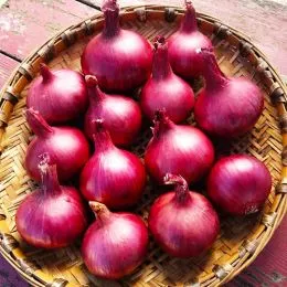 Лук Red Karmen Озимый 1 кг фото