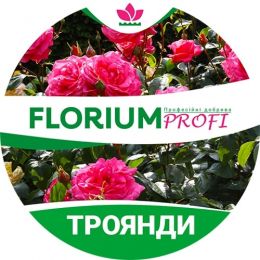 Удобрение для роз (Florium Profi универсальное) 4м. 250г фото