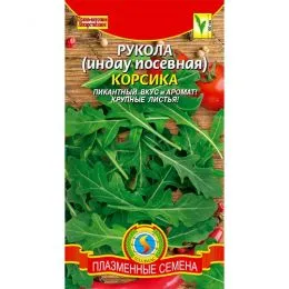 Руккола Корсика фото