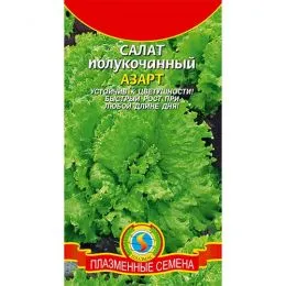 Салат Азарт фото
