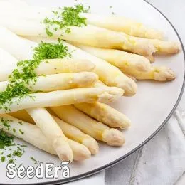 Спаржа Деликатесная фото