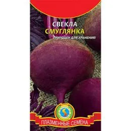 Свекла Смуглянка фото