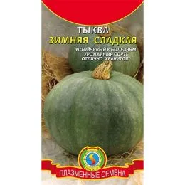 Тыква Зимняя сладкая фото