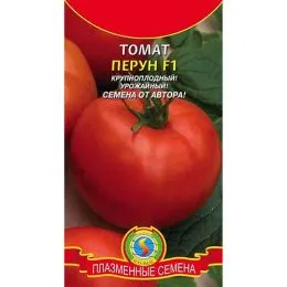 Томат Перун F1 фото