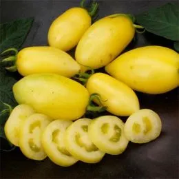 Томат Cream Sausage фото