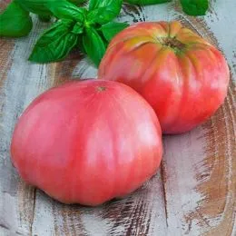 Томат Pink Brandywine фото