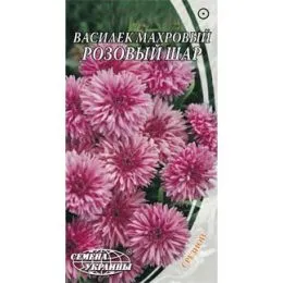 Василек махровый Розовый шар фото