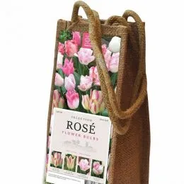 Комплект Тюльпанов Wine Rose (Брендовые луковицы KAPITEYN®) фото