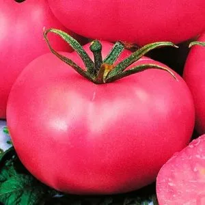 Томат Розовый гигант ТМ GL Seeds фото