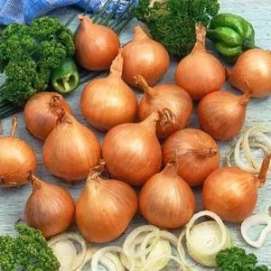 Лук Golden Gourmet шалот 5кг фото
