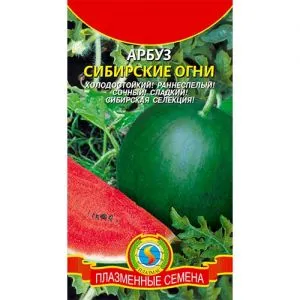 Арбуз Сибирские огни фото