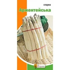 Спаржа Аржентельская фото