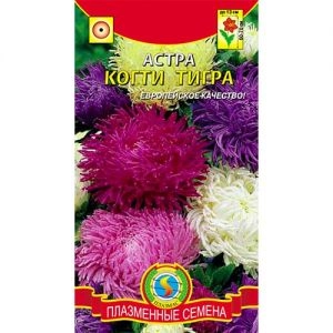 Астра Когти тигра смесь фото