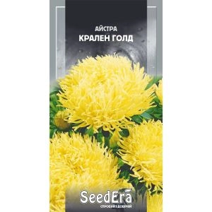 Астра высокорослая Крален Голд фото