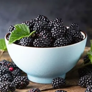 Ежевика Небеса Могут Подождать фото