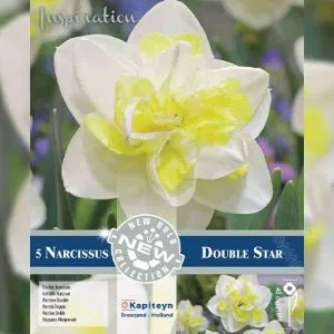 Нарцисс Double Star (Брендовые луковицы KAPITEYN®) фото
