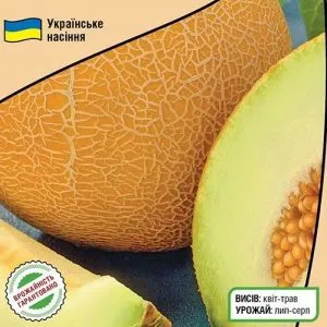 Дыня Ранняя 133 фото