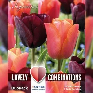 Комбо Тюльпаны Duopack Triumph Purple & Orange (Брендовые луковицы KAPITEYN®) фото