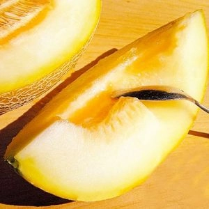 Дыня Свит Ананас фото